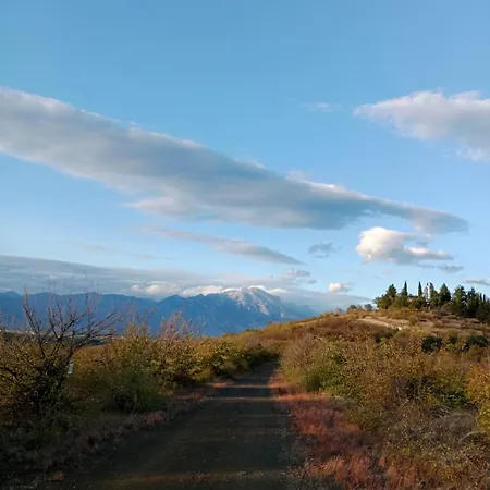 Rooster Retreat דירה