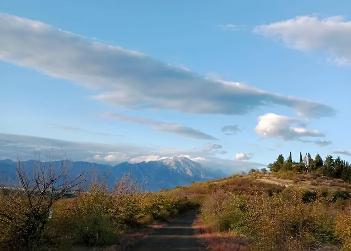 Rooster Retreat 公寓